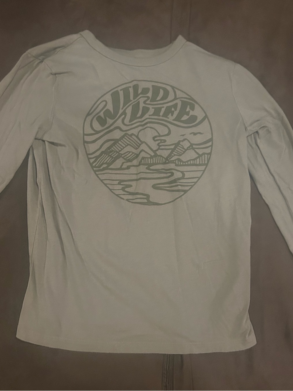 Kids GAP “Wild Life” Long-Sleeve Graphic Tee size 8.
